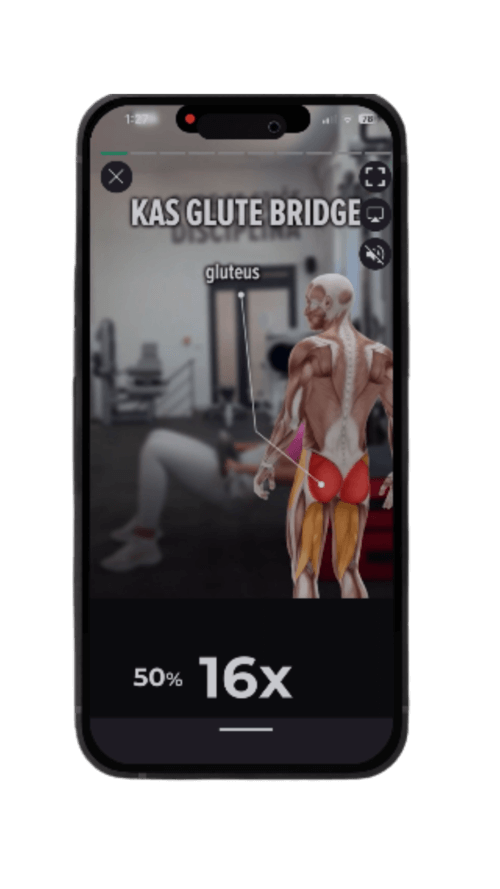 onlinefitcenter-app